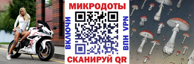 Галлюциногенные грибы Cubensis дарк нет как зайти Тюкалинск
